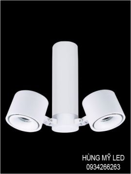 ĐÈN RỌI RAY VDR-3019/2A